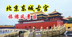 射精软件中国北京-东城古宫旅游风景区